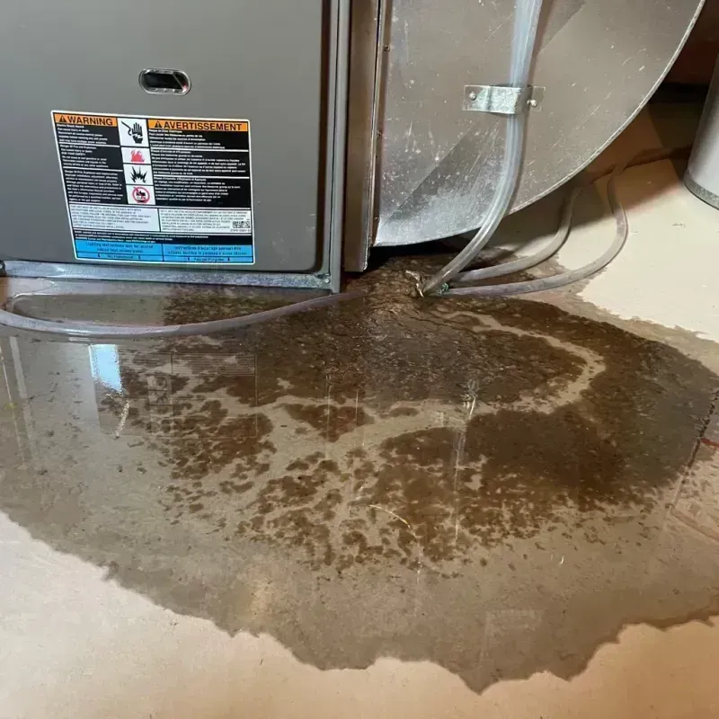 Appliance Leak Cleanup in Edgewater, IL